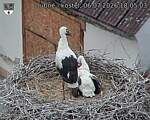 Capi_Dubne_20260706_180503.jpg