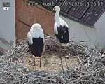 Capi_Dubne_20260706_182503.jpg