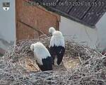 Capi_Dubne_20260706_183503.jpg