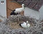 Capi_Dubne_20260706_185503.jpg