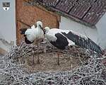 Capi_Dubne_20260706_190003.jpg