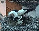 Capi_Dubne_20260706_212002.jpg