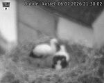 Capi_Dubne_20260706_213002.jpg