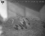 Capi_Dubne_20260706_223503.jpg