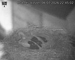 Capi_Dubne_20260706_224502.jpg