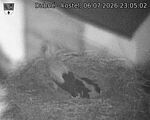 Capi_Dubne_20260706_230502.jpg