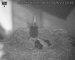 Capi_Dubne_20260706_231502.jpg