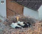 Capi_Dubne_20260707_054004.jpg
