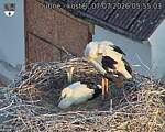 Capi_Dubne_20260707_055503.jpg