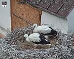 Capi_Dubne_20260707_114503.jpg