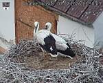 Capi_Dubne_20260707_115003.jpg