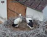 Capi_Dubne_20260707_120503.jpg