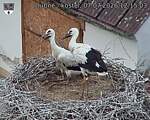 Capi_Dubne_20260707_121503.jpg