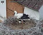 Capi_Dubne_20260707_122004.jpg