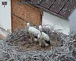 Capi_Dubne_20260707_123502.jpg