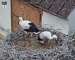 Capi_Dubne_20260707_125504.jpg