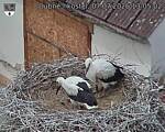 Capi_Dubne_20260707_130502.jpg