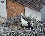 Capi_Dubne_20260707_133004.jpg