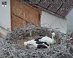Capi_Dubne_20260707_134503.jpg