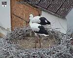 Capi_Dubne_20260707_135503.jpg
