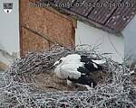 Capi_Dubne_20260707_140003.jpg