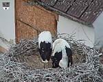 Capi_Dubne_20260707_140503.jpg