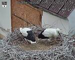 Capi_Dubne_20260707_141504.jpg