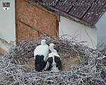 Capi_Dubne_20260707_142504.jpg