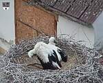Capi_Dubne_20260707_144003.jpg