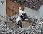 Capi_Dubne_20260707_150504.jpg