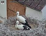 Capi_Dubne_20260707_151003.jpg