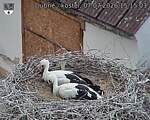 Capi_Dubne_20260707_151503.jpg