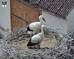 Capi_Dubne_20260707_160503.jpg