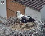 Capi_Dubne_20260707_163004.jpg