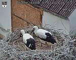 Capi_Dubne_20260707_163503.jpg