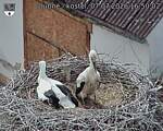 Capi_Dubne_20260707_165002.jpg