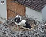 Capi_Dubne_20260707_170503.jpg