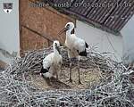 Capi_Dubne_20260707_171004.jpg
