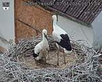 Capi_Dubne_20260707_171504.jpg