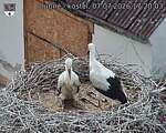 Capi_Dubne_20260707_172003.jpg