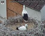 Capi_Dubne_20260707_173504.jpg