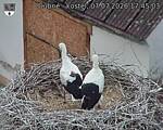 Capi_Dubne_20260707_174503.jpg