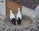 Capi_Dubne_20260707_175503.jpg