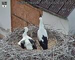 Capi_Dubne_20260707_181002.jpg
