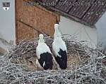 Capi_Dubne_20260707_181504.jpg
