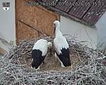 Capi_Dubne_20260707_183503.jpg