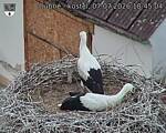 Capi_Dubne_20260707_184504.jpg