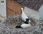 Capi_Dubne_20260707_185002.jpg