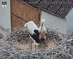 Capi_Dubne_20260707_190504.jpg