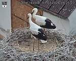 Capi_Dubne_20260707_192503.jpg